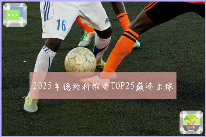 2025年德约科维奇TOP25巅峰击球