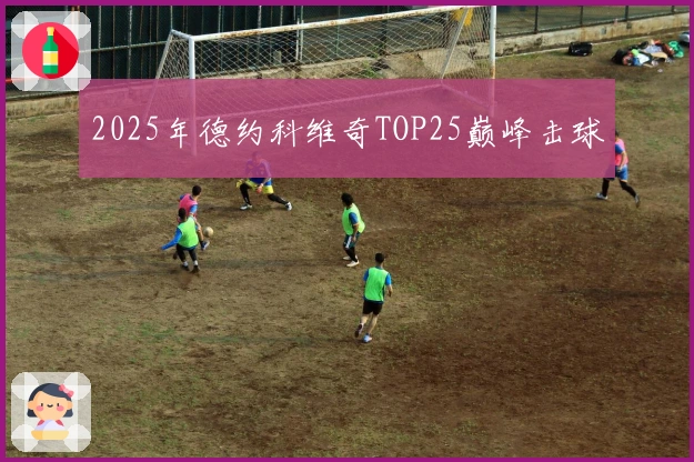 2025年德约科维奇TOP25巅峰击球